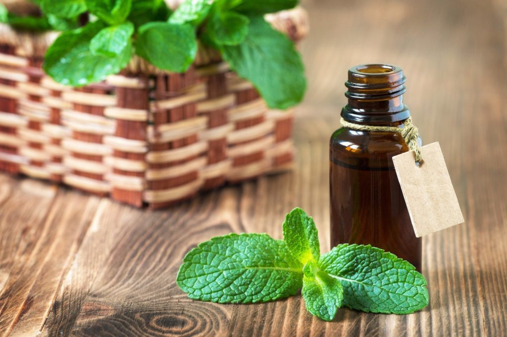 Peppermint essential oil in a glass bottle with a tag on wooden background